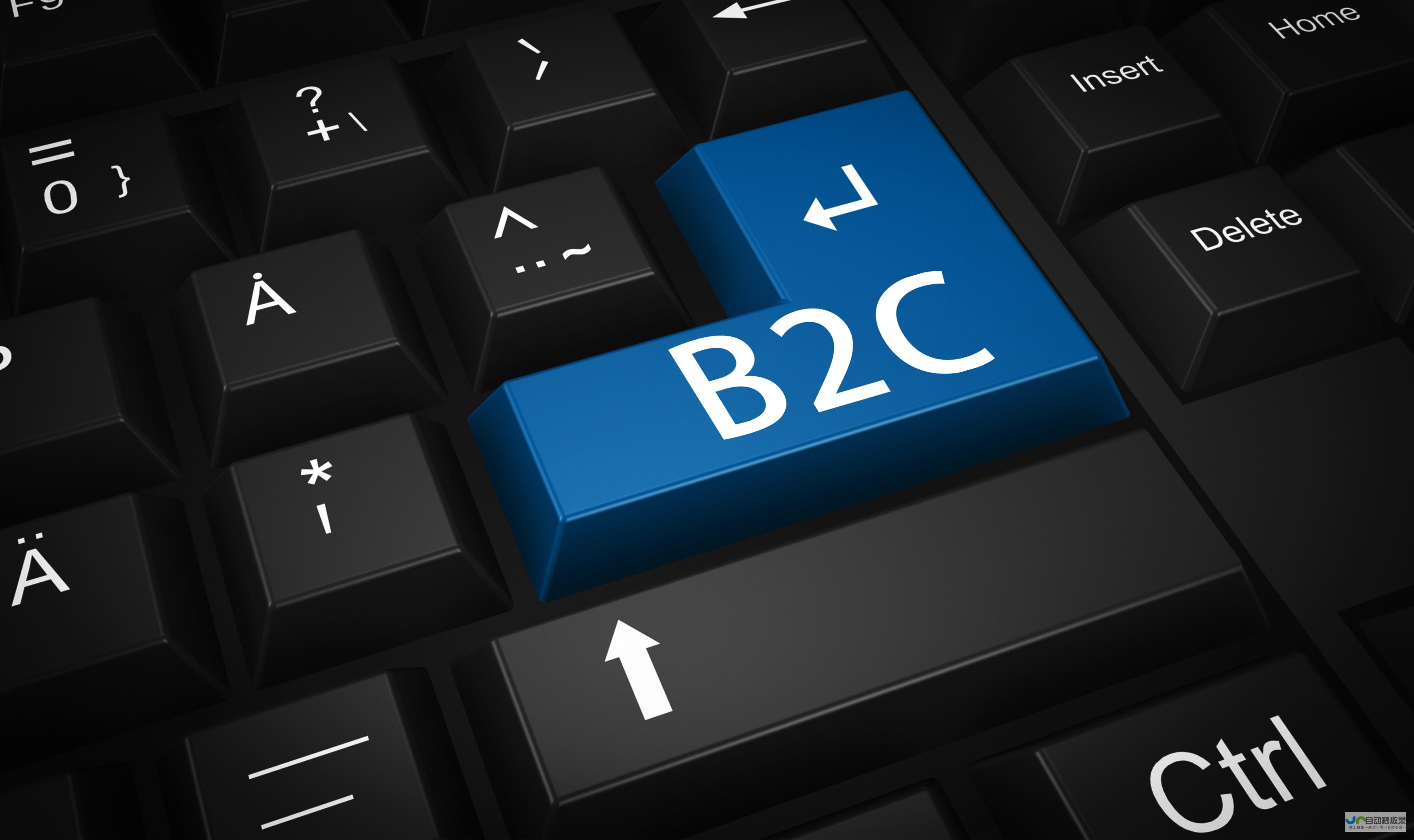 b2c商城